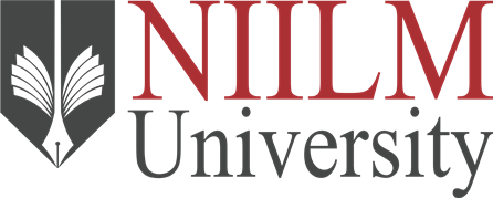 Niilm University